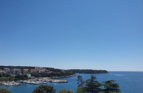 Pjescana Uvala Apartment | Apartman Mare Pjescana Uvala