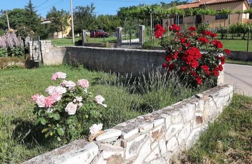 Becici Apartment | Apartman Paolo