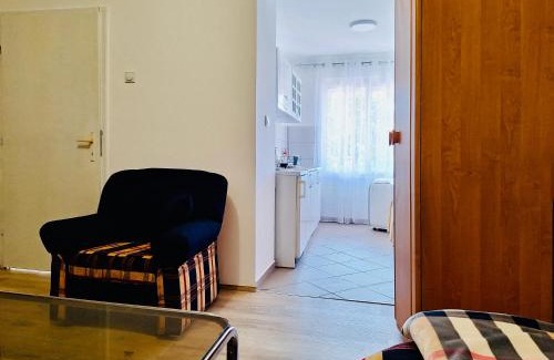Negotin House | Apartman Radulovic