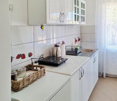 Negotin House | Apartman Radulovic