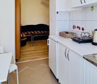Negotin House | Apartman Radulovic