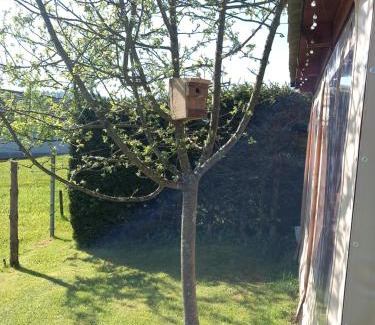 Crni Lug Apartment | Apartman Ris Gorski Kotar Crni Lug