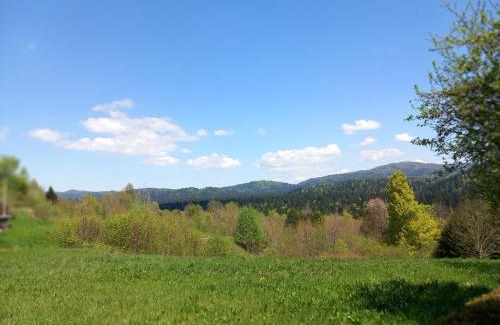 Crni Lug Apartment | Apartman Ris Gorski Kotar Crni Lug