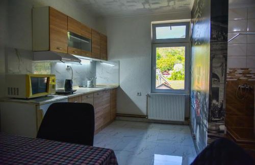 Vranjska Banja Apartment | Apartman Sanja
