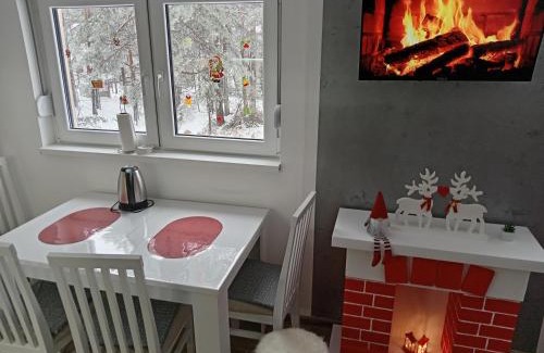 Divcibare Apartment | Apartman Savić Divčibare