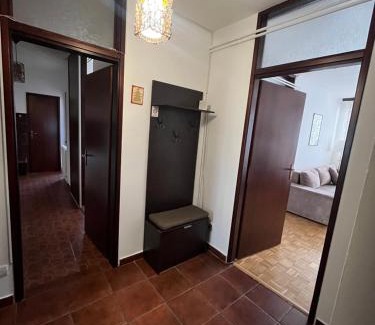 Bela Crkva Apartment | Apartman Selaković