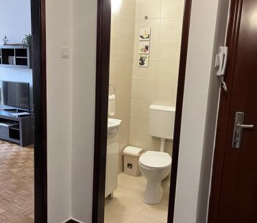 Bela Crkva Apartment | Apartman Selaković