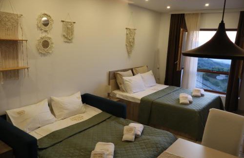Lisina Apartment | Apartman TAUNUS