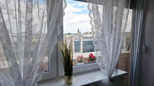 Zemun Apartment | Apartman u Zemunu