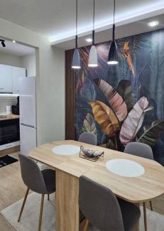 Pirot Apartment | Apartman Vukota 2 Pirot