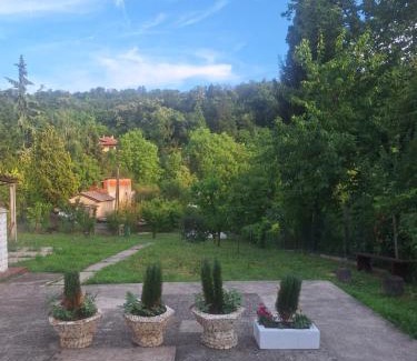 Mladenovac Apartment | Apartman Zoki