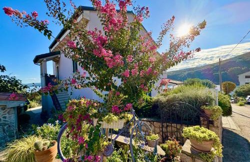 Valun Apartment | Apartmani Klaudija