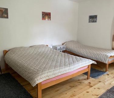 Stara Planina Apartment | Apartmani Nikola Dojkinci