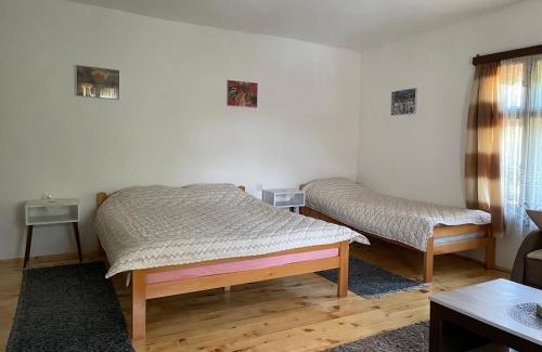 Stara Planina Apartment | Apartmani Nikola Dojkinci
