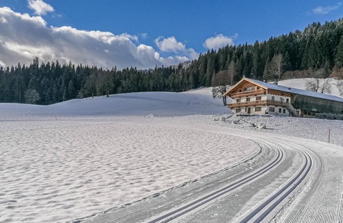 Hopfgarten im Brixental Apartment | apartment with lots of peace and a perfect view