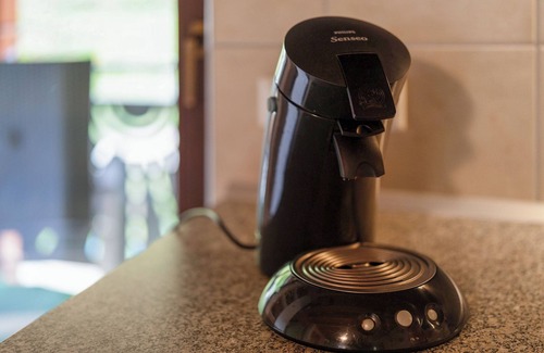 Bad Peterstal-Griesbach Apartment | Apartment 'Bergpanorama' with Mountain View, Shared Garden and Wi-Fi