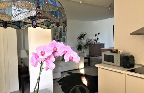 Palazzolo dello Stella Apartment | APARTMENT FOR 2/5 PEOPLE IN AGRITURISMO WITH SWIMMINGPOOL WITH THERMAL WATER