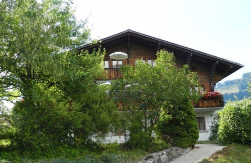 Saanen Apartment | Apartment ∙ 1 bedroom ∙ 2 guests