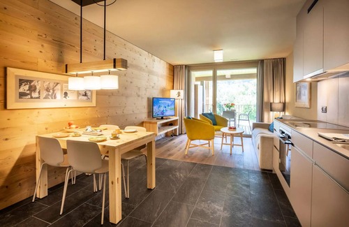 Meiringen Apartment | Apartment 2 Rooms 4 Persons Superior