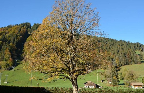 Zweisimmen Nr Gstaad Apartment | Apartment ∙ 3 bedrooms ∙ 6 guests