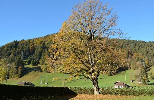 Zweisimmen Nr Gstaad Apartment | Apartment ∙ 3 bedrooms ∙ 8 guests