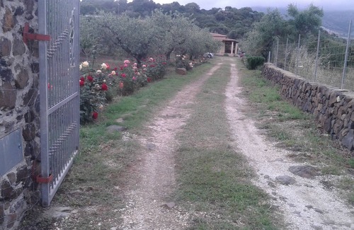 Orosei Apartment | Apartment 300 meters from the beach in villa of the Olives and Roses