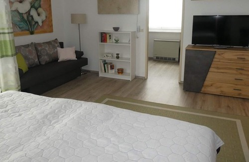 Litschau Apartment | Apartment (52qm) for up to 3 people with balcony