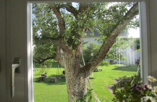 Reutlingen Apartment | Apartment Am Apfelbaum