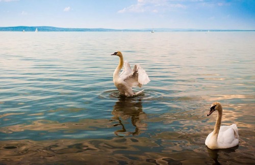 Siofok Apartment | Apartment- Andrew 2 - One Bedroom Apartment, Sleeps 5