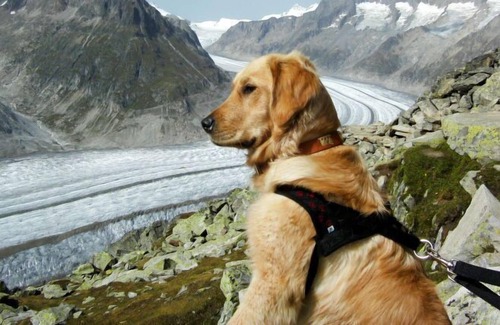 Ernen Apartment | Apartment Aragon in Ernen - 2 persons, 1 bedrooms