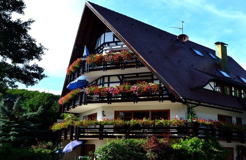 Sasbachwalden Apartment | Apartment 'Bachschwalbe' with Mountain View, Shared Terrace and Wi-Fi