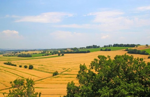 Castiglione della Valle Apartment | Apartment Borgo Monticelli in Perugia - 4 persons, 2 bedrooms