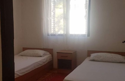 Rukavac Apartment | Apartment Branko - with parking; A1(4+1) - Cove Rukavac, Island Vis, Croatia
