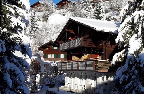 Grindelwald Apartment | Apartment