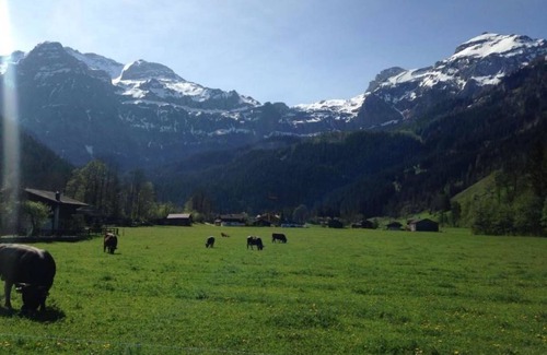 Lenk Apartment | Apartment ∙ 3 bedrooms ∙ 6 guests