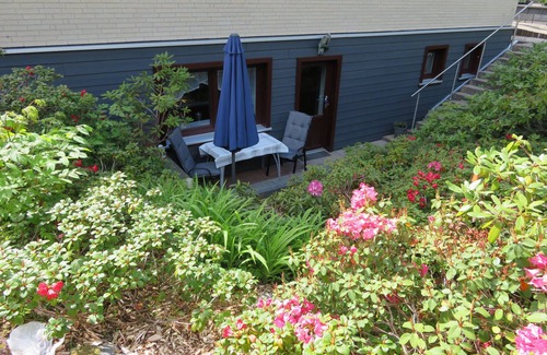 Clausthal-Zellerfeld Apartment | Apartment Lenk - Apartment