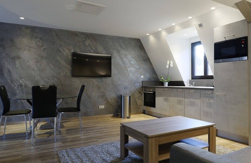 Ribeauville Apartment | Apartment-Deluxe-Ensuite with Shower-Terrace