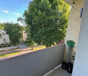 Inowroclaw Apartment | Apartment Ewy