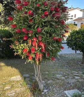 Stignano Apartment | Apartment F24 Stignano Favaco