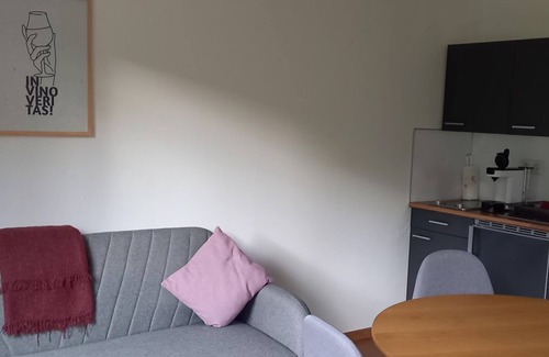 Brauneberg House | Apartment Falkenberg - Weingut Harald Konrad Fehres