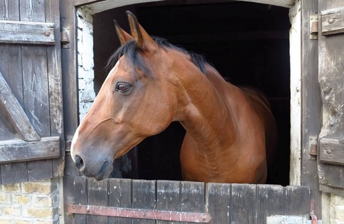 Paretz Apartment | Apartment 'Ferienwohnung 1' with Shared Terrace, Shared Garden and Wi-Fi