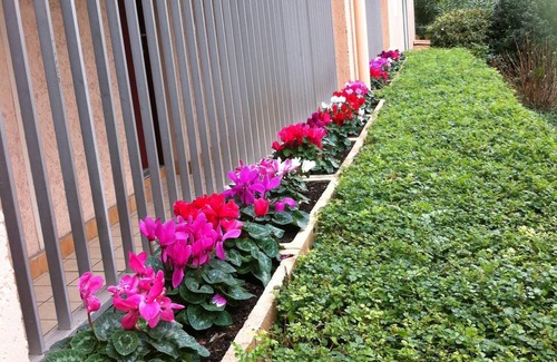 Cannes La Bocca Apartment | Apartment/flat - Cannes