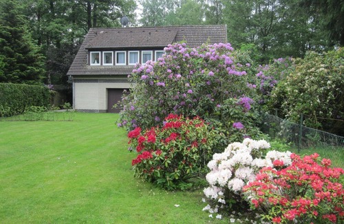 Region Hannover District House | Apartment for 2 persons + 2 children approx. 65 m² in Mardorf, Lower Saxony (Steinhuder Lake)