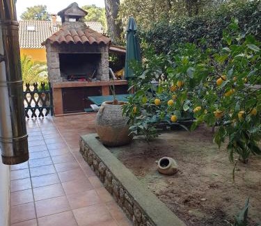 Artatore Apartment | Apartment for max 7 pers in Mali Losinj with terrace, air conditioning, WiFi, washing machine 4913-3