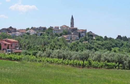 Kastelir Apartment | Apartment Gortan (KST101) in Porec/Kastelir - 3 persons, 1 bedrooms