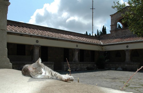 Ialyssos Apartment | Apartment "Grace" with 2 spaces, at the foothills of Filerimos, Ialysos - Rhodes