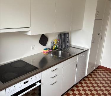 Matthaus Apartment | Apartment in Basel