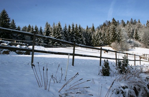 Urberg Villa | Apartment in Dachsberg with Garden, BBQ & Bar