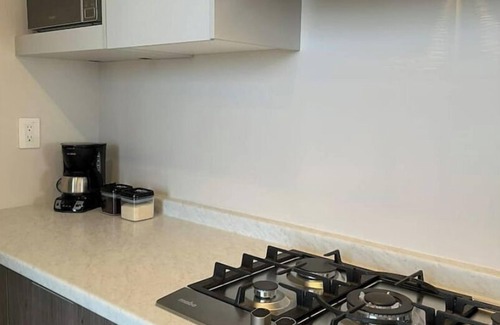 Monterrey Apartment | Apartment in front of the Monterrey Arena, Fundidora Park, and Cintermex