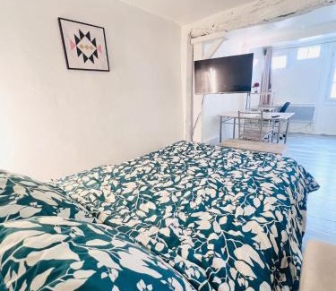 Troyes Apartment | Apartment in Heart of Troyes